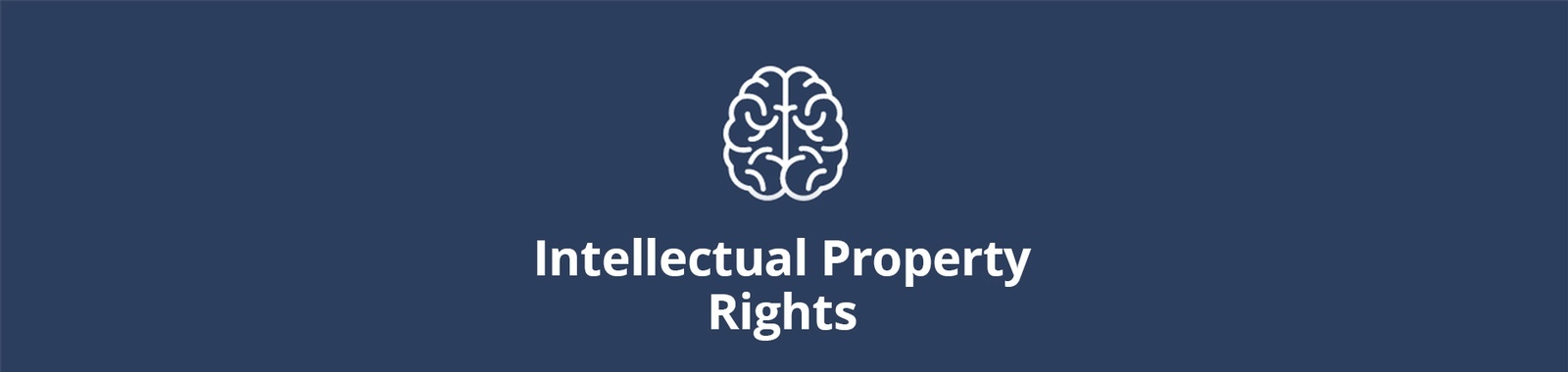 Intellectual Property Rights